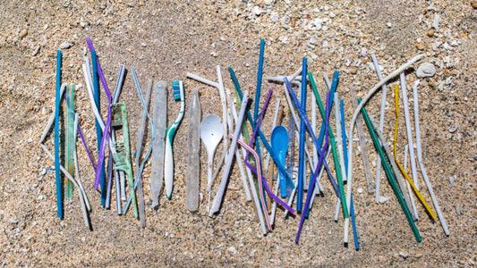 The Ocean's Silent Threat - Plastic Toothbrushes: Why Plastic Toothbrushes Are Harming Our Oceans and What We Can Do